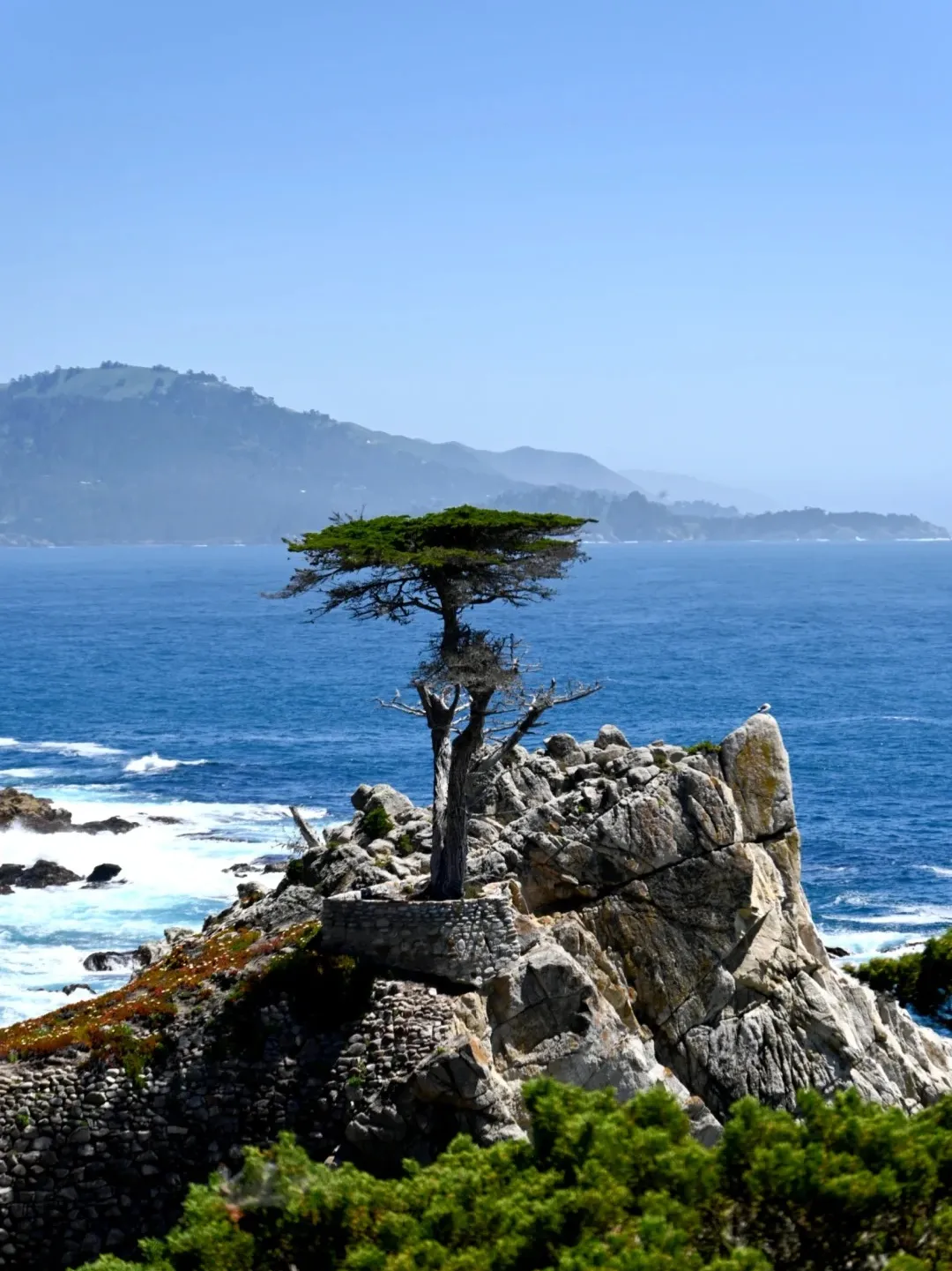 48b4ae628111f36eb123f5e547f7b77b-sz_365183 48b4ae628111f36eb123f5e547f7b77b-sz_365183