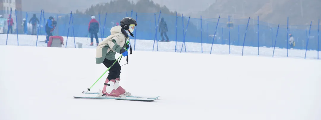 48b77b695b4a3e545eceff915c5cea7b-sz_858916