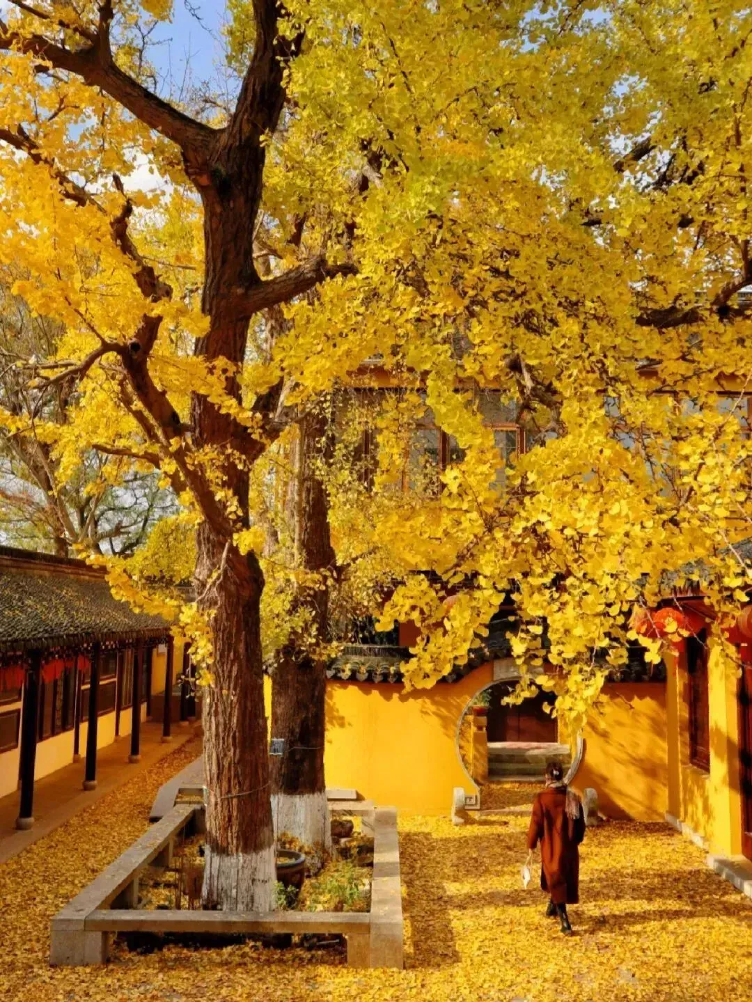 4909d3bbcd1de836439ad1cfe420e2df-sz_2802164 4909d3bbcd1de836439ad1cfe420e2df-sz_2802164