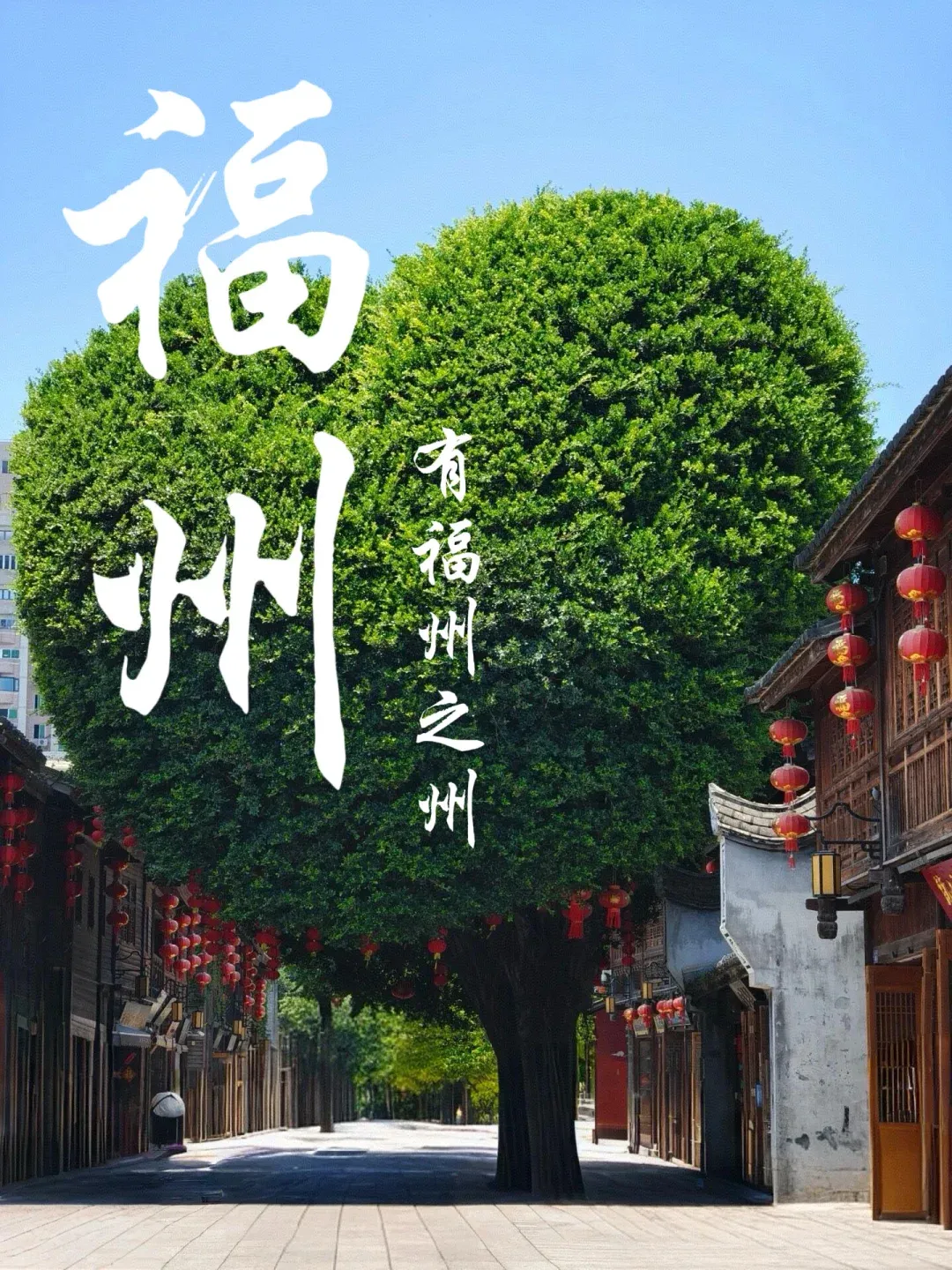 494004b6ceea71d0ac6be77e4e1e68da-sz_3135111 494004b6ceea71d0ac6be77e4e1e68da-sz_3135111