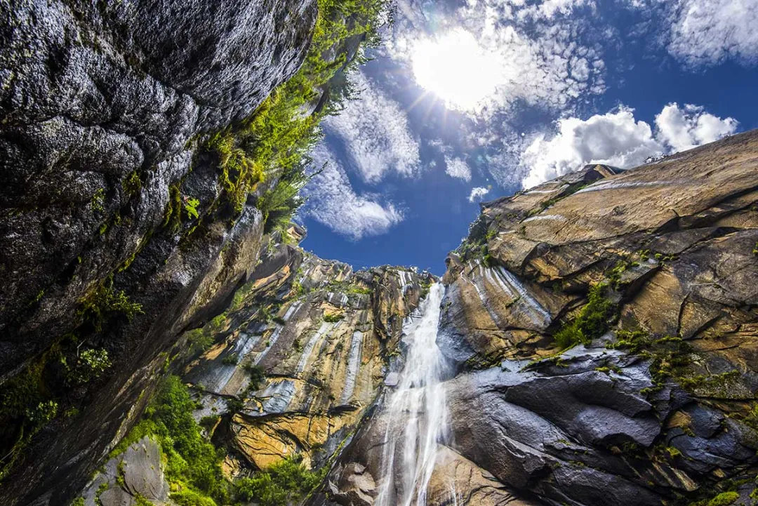 4994d66fb729685b40d09849a09108c5-sz_307130