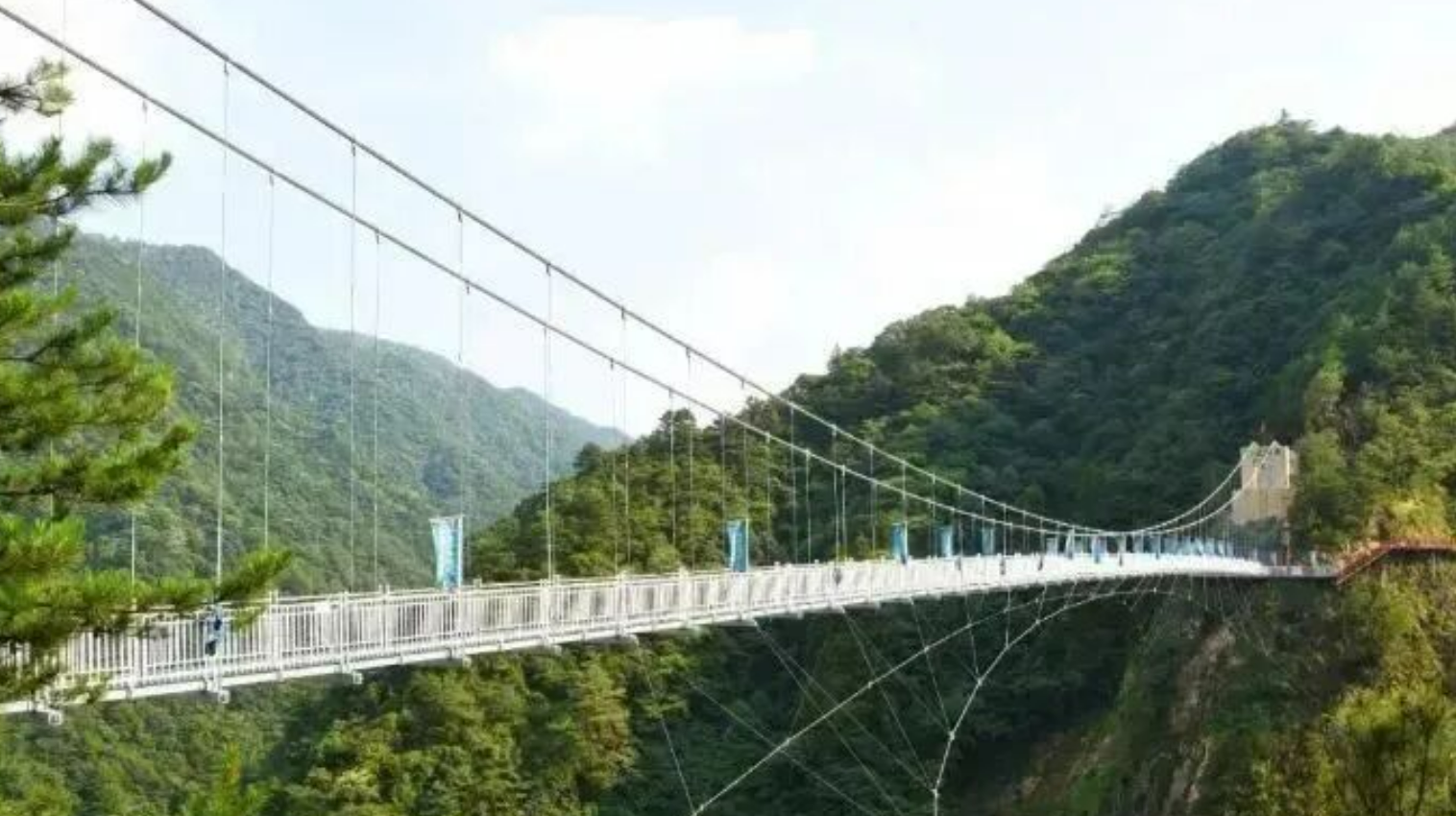 499b8638390a7a5c365b75a352c6c0fe