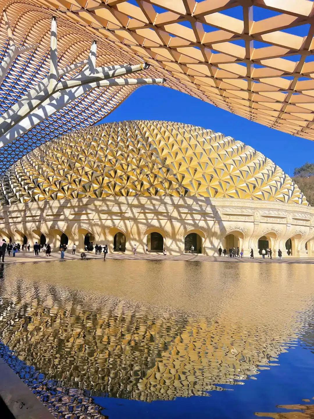 49a052b9f6ca8859e3f7005d3b0740dc-sz_831074 49a052b9f6ca8859e3f7005d3b0740dc-sz_831074