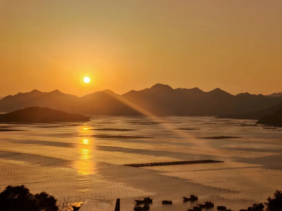 49a9e8eab16b7355a04e4cdd5297945e-sz_223462-1