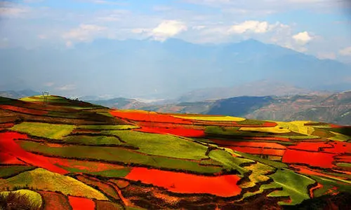 49cbb03df4556b313c163213d5aae494-sz_37810-1 49cbb03df4556b313c163213d5aae494-sz_37810-1