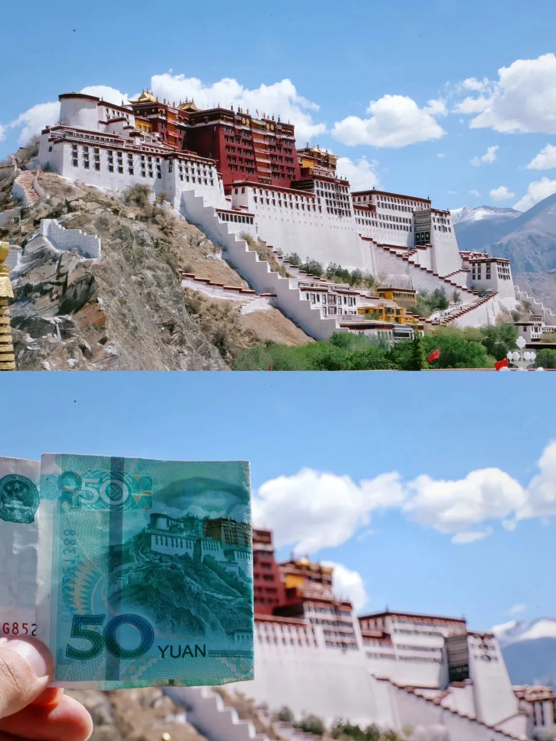 4a0241bc4cb268e795428f6230982f95-sz_343804