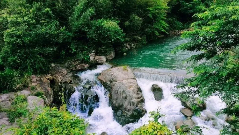 4a16e1714d58800c8bb208e7440b9f01-sz_158623