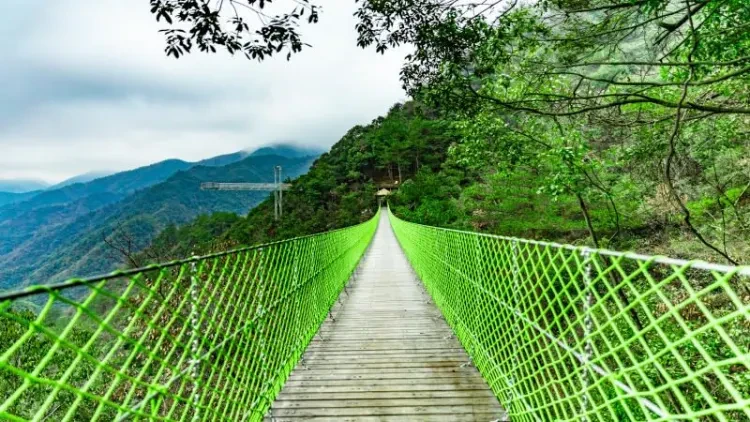 4a1e8043abf7fb24187ca0965b23d1f7-sz_121554 4a1e8043abf7fb24187ca0965b23d1f7-sz_121554