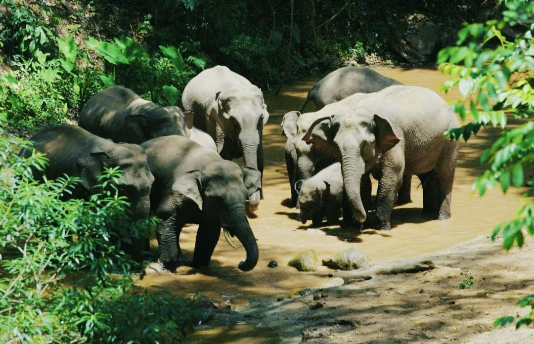 4a2d9a9b5ff9d63513827c5d85ceb038-sz_501388