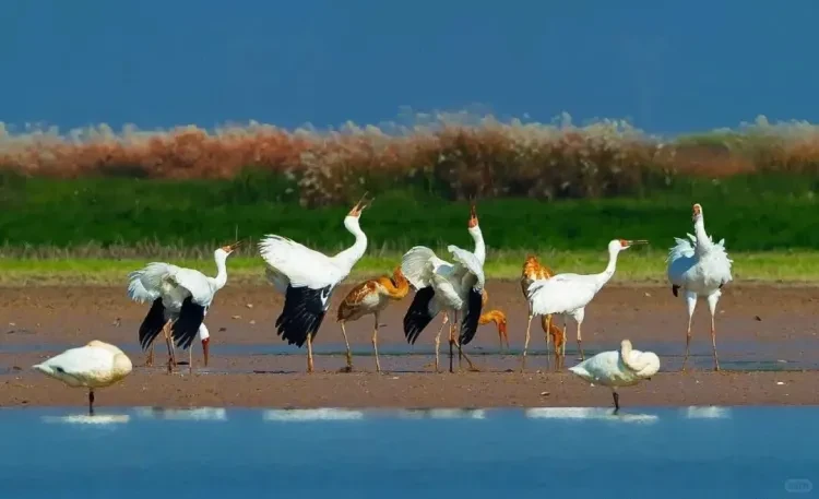 4a3416cd0a18d7620a22e2dadfd9d557-sz_1032526