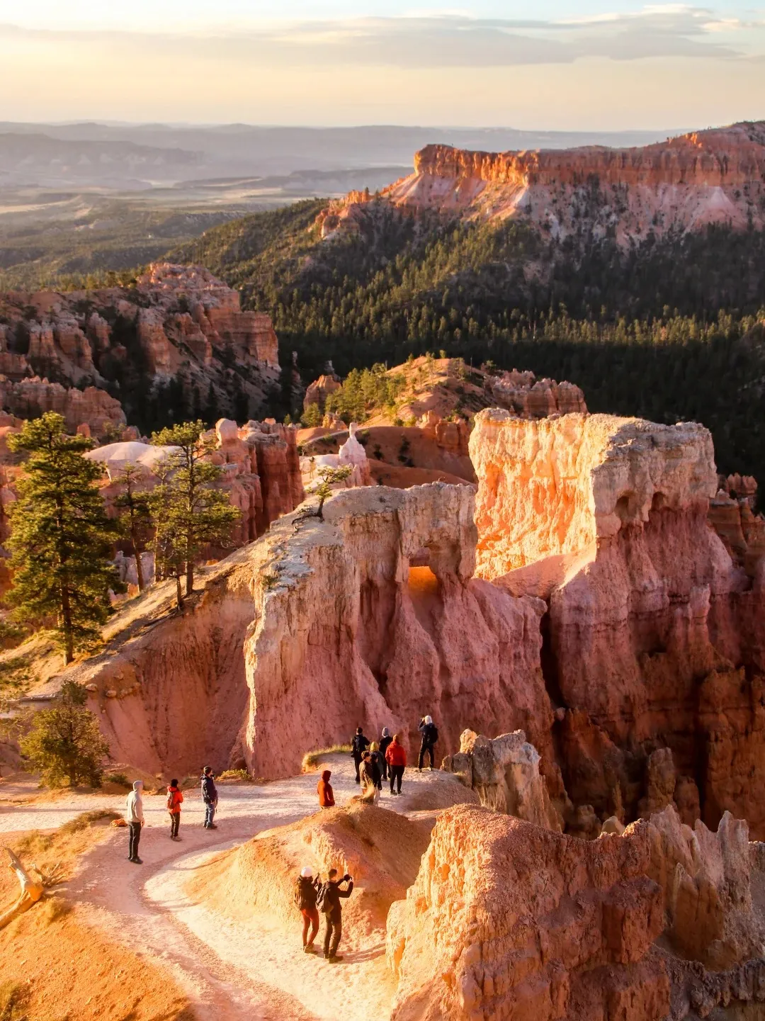 4a5d10b6c88dc323336cb755f1526670-sz_546665 4a5d10b6c88dc323336cb755f1526670-sz_546665