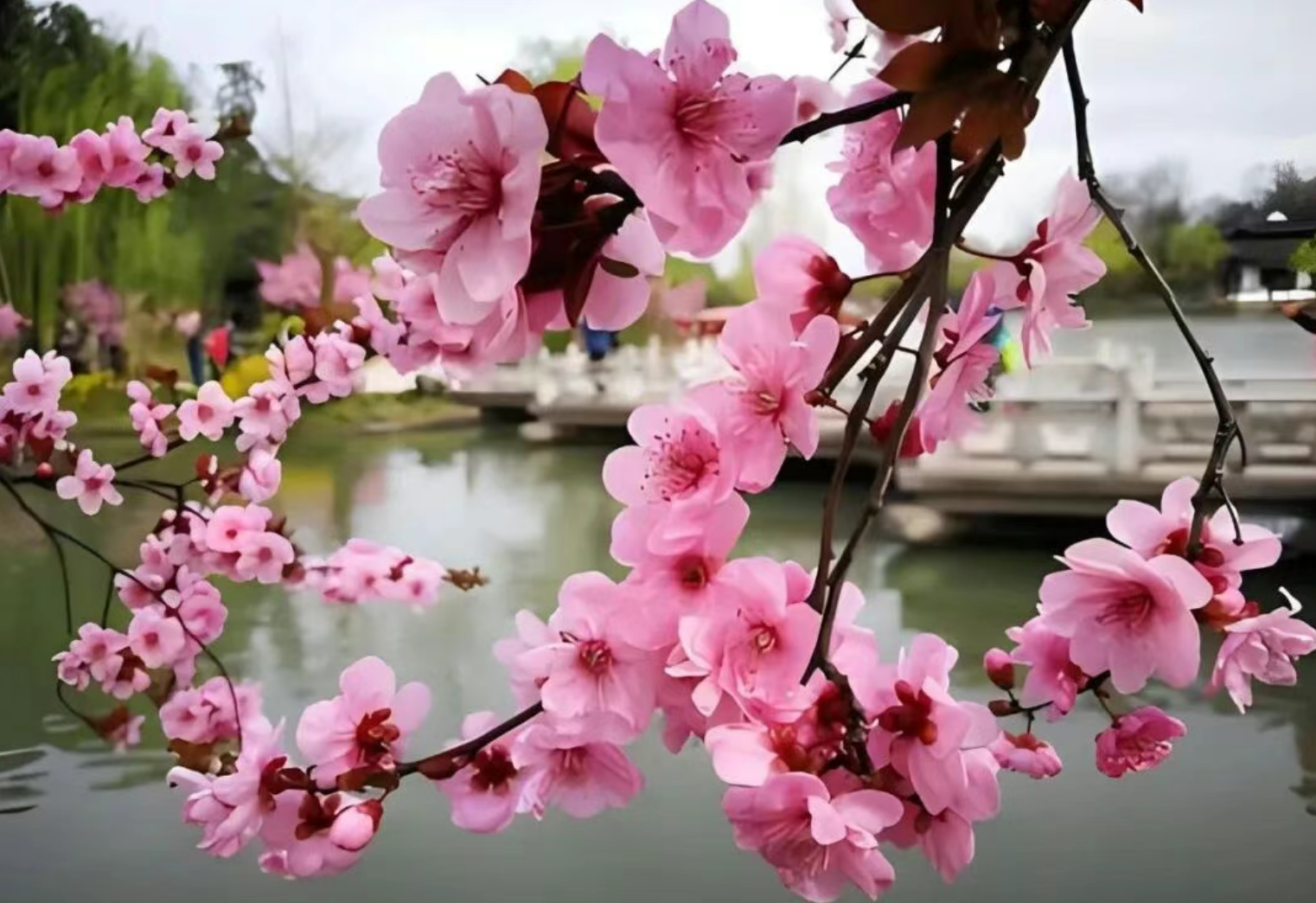 4a6987140a616d0c7dde0d1bf9b08b2c