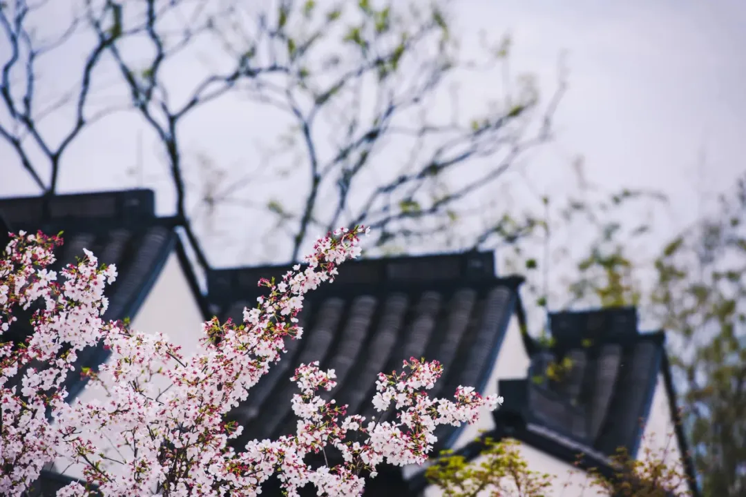 4a6ea7c13c938f92c203df399a61c152-sz_560475