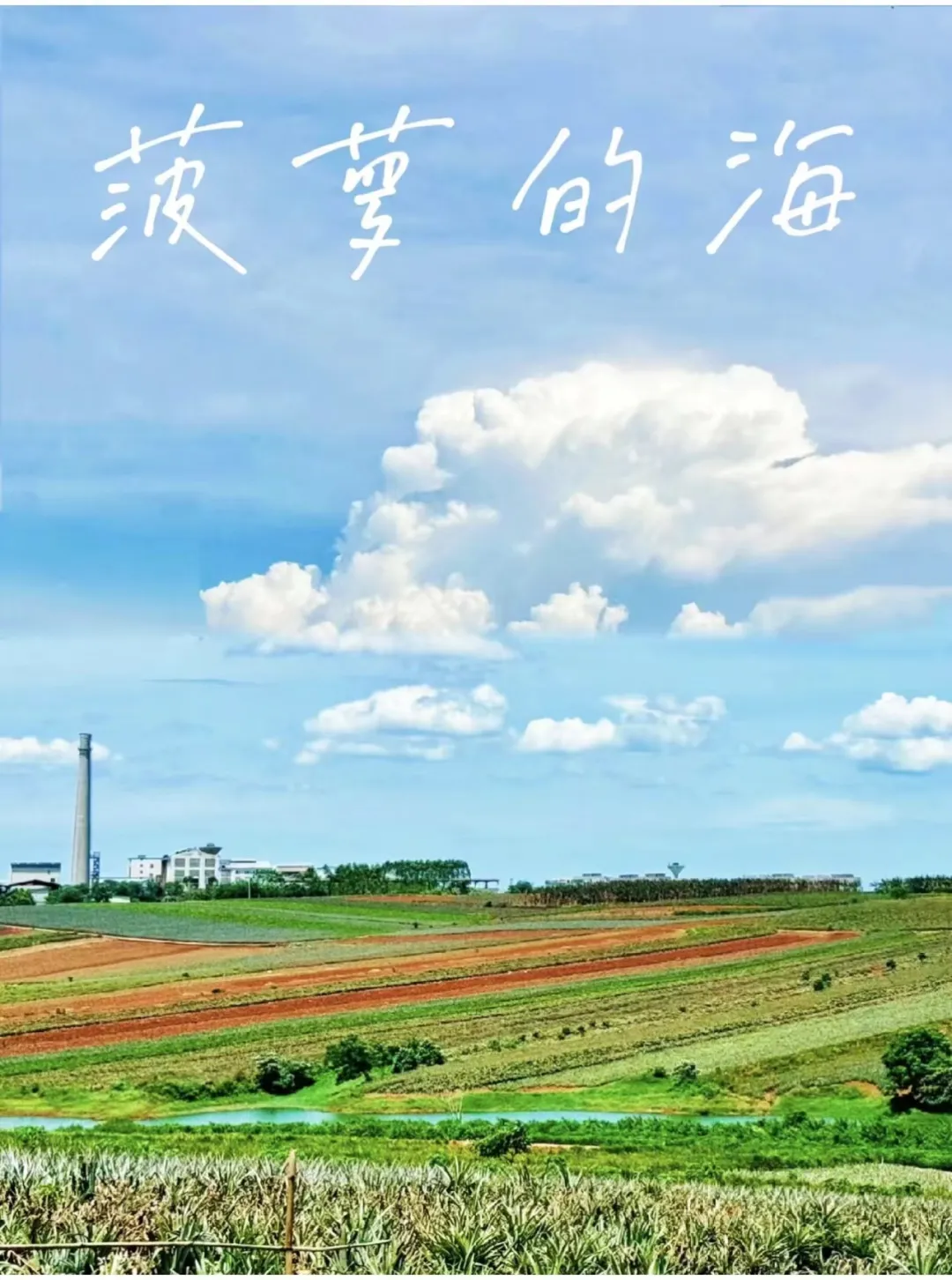 4aa6cd920e1a9a2855fea59d73c06f66-sz_419705 4aa6cd920e1a9a2855fea59d73c06f66-sz_419705