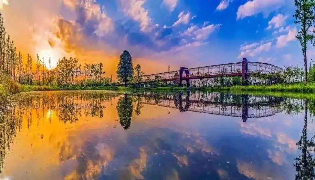 4aa88aae151fab2561ad1f2f19a81e21-sz_81377