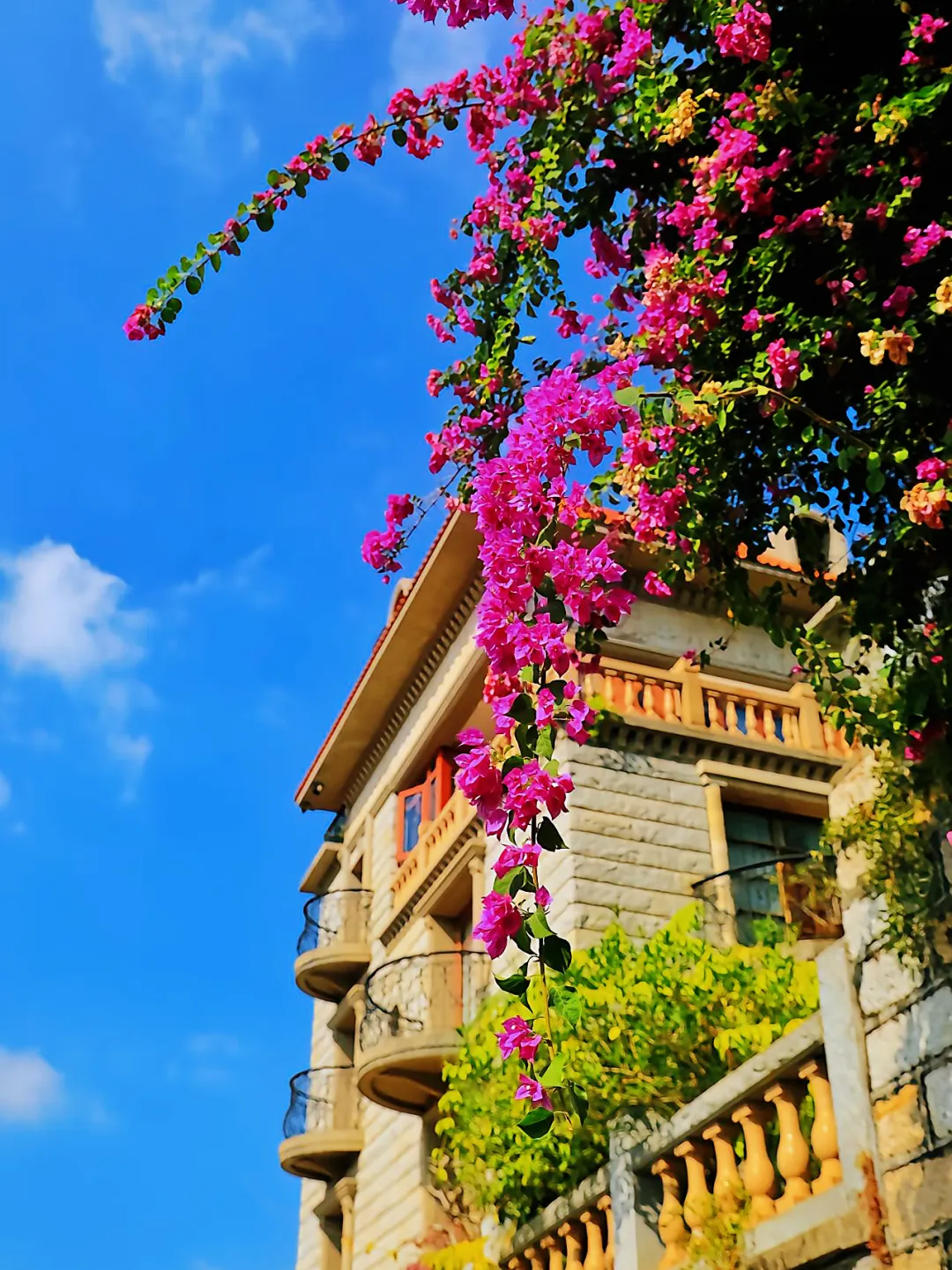 4adc1de21f5596c585da21e923b59279-sz_2798763-1 4adc1de21f5596c585da21e923b59279-sz_2798763-1