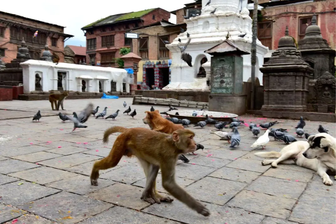 4ae806ed151eda068771e70953f241a1-sz_339874