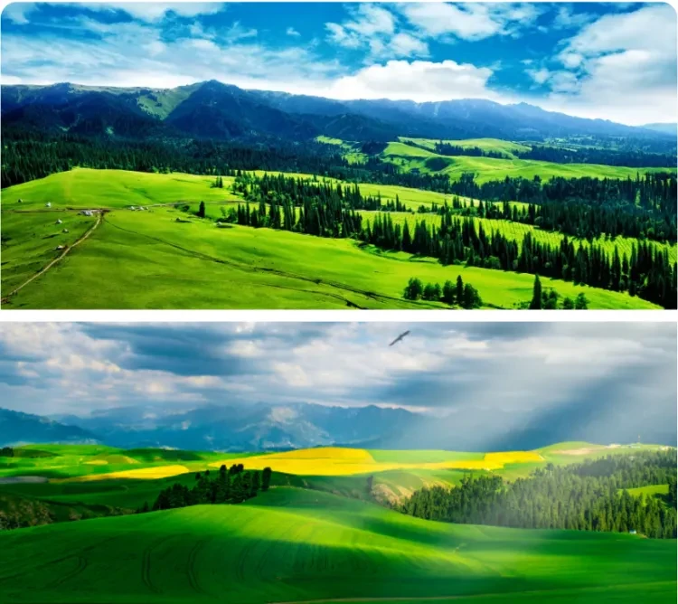 4af09eab329ff25ef526adb27ea7af4f-sz_1077173