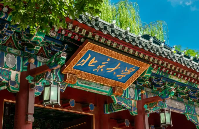 4af75d123eeefee36561df344d2d5be7-sz_553954