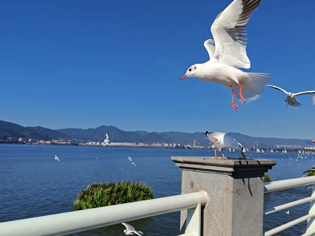 4b28a2a641ff055583b5e139ef84cd6a-sz_1373862