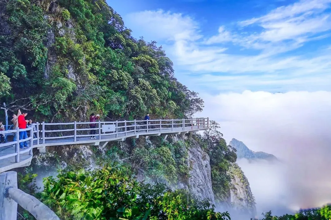 4b381d43b2dff9bb146b7a3a1327abf9-sz_496896