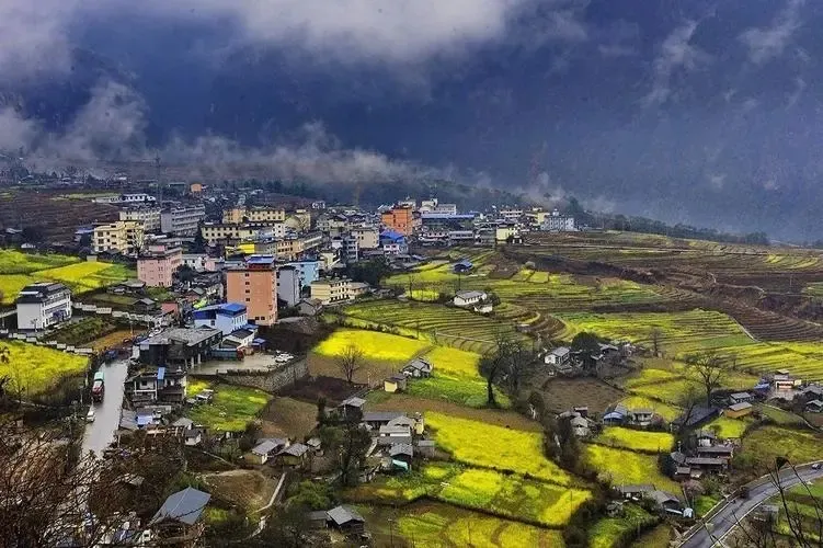 4b6eef2453bfb37a1520e0c69a907fc9-sz_305545 4b6eef2453bfb37a1520e0c69a907fc9-sz_305545