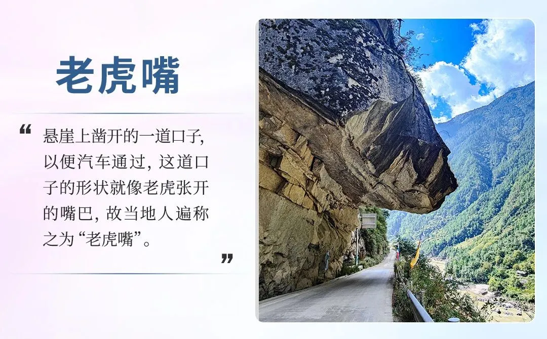 4b852c61ff2992e22e77935565412937-sz_1142799 4b852c61ff2992e22e77935565412937-sz_1142799