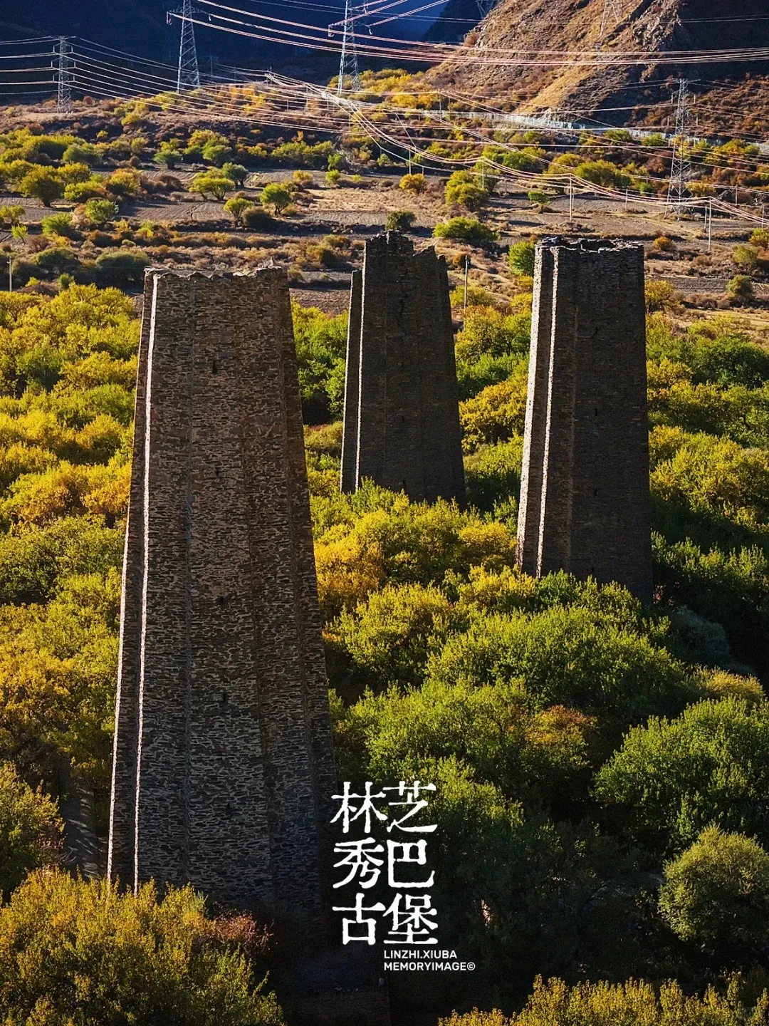 4b98d6c35e0992eacb3c06a95b6edf44-sz_782520