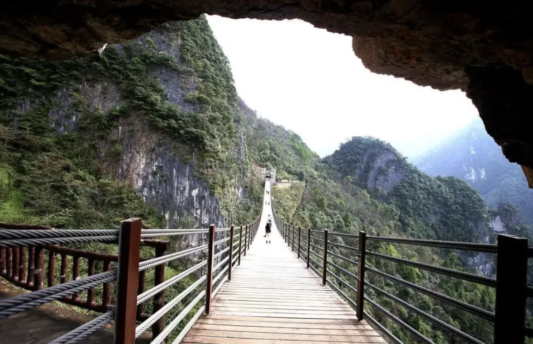 4ba741031cbde2a372e4662f8ba4129a-sz_2322796