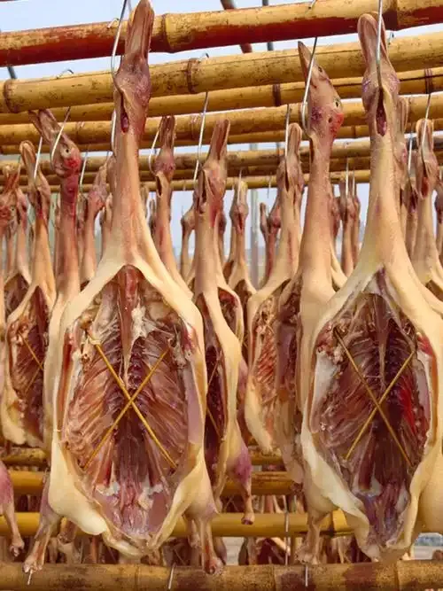 4bad9119e77cb18a43c3aa86ba3ef0d4-sz_914107-1