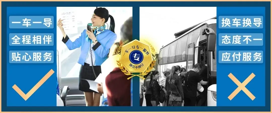 4c03d0a176a765ad68f2a475639a8510-sz_79735-1