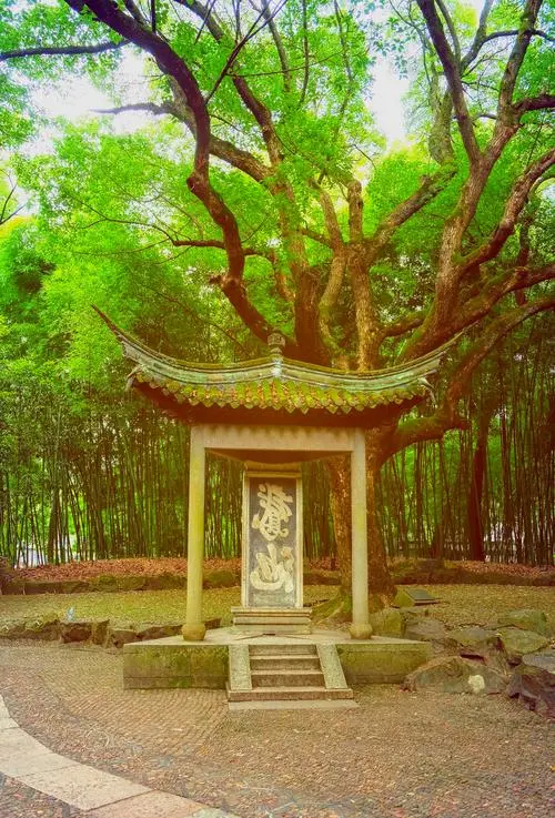 4c21474c0eda0816a8e0394f7d434f6a-sz_110313