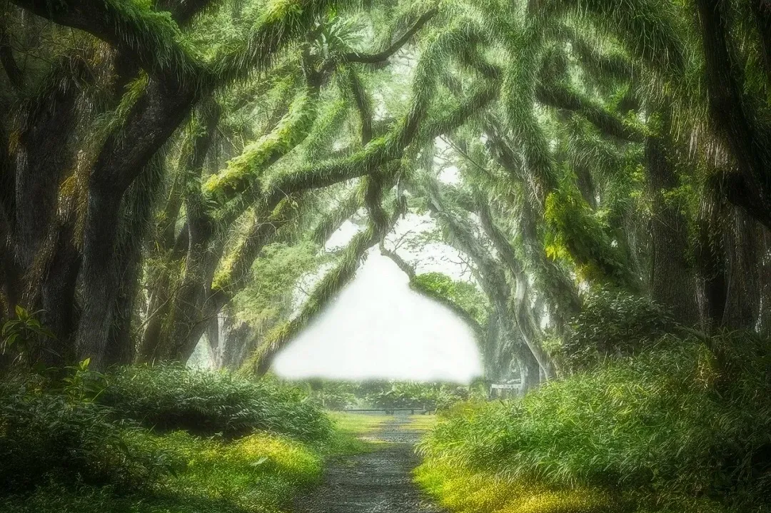 4c3ae02b8c41835e7ffa4529d5e5eb6f-sz_794399