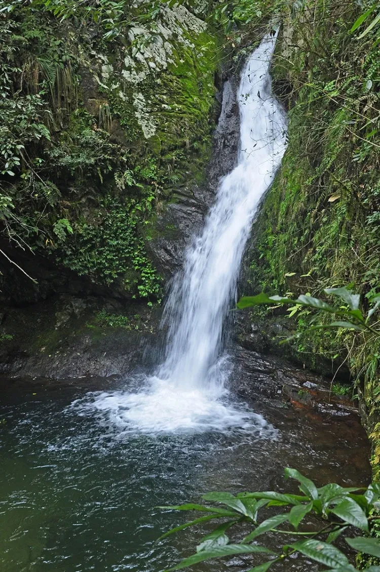 4c4cdf5e357671765e2d6b265c32db2f-sz_460364