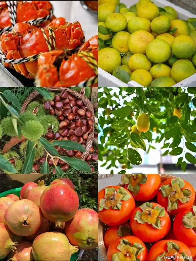 4ce1682d21ab66a57b015d57fffd69a1-sz_1012560 4ce1682d21ab66a57b015d57fffd69a1-sz_1012560