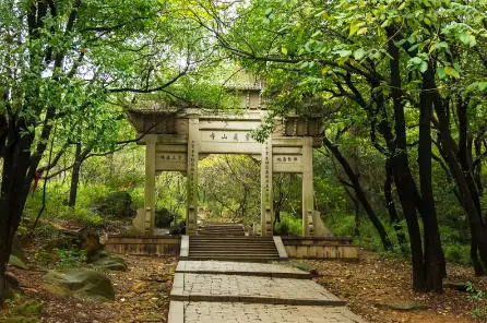 4ceb653af62a54d2fd3ecf3318cc8651-sz_55023