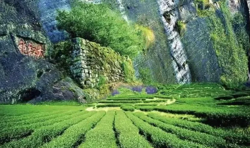 4d0c01b9966565e357a14f4c5dd93e4f-sz_1401633-1 4d0c01b9966565e357a14f4c5dd93e4f-sz_1401633-1