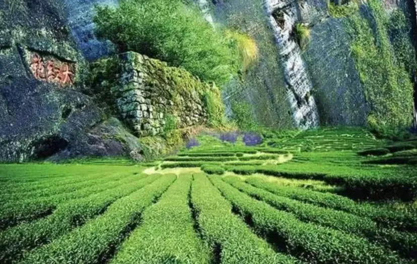 4d0c01b9966565e357a14f4c5dd93e4f-sz_1401633 4d0c01b9966565e357a14f4c5dd93e4f-sz_1401633