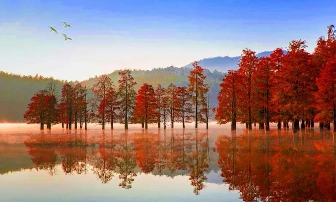 4d1ba1d93c717a034151a7f1396509f3-sz_470898-1