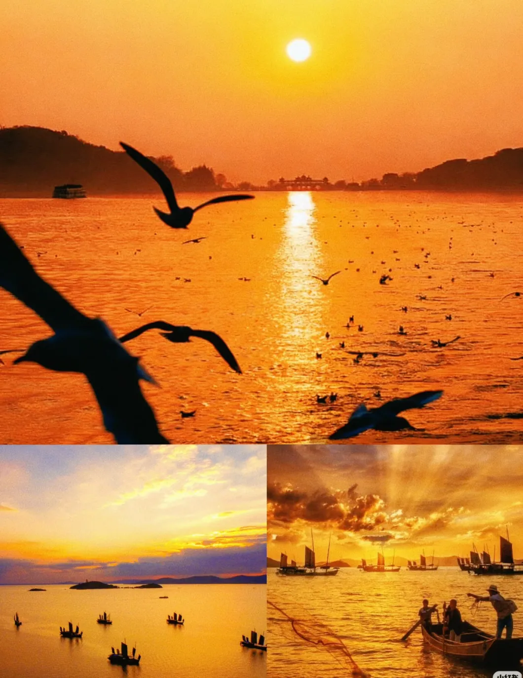 4d3256885d624ea5494c067b80f07a79-sz_1585101-1