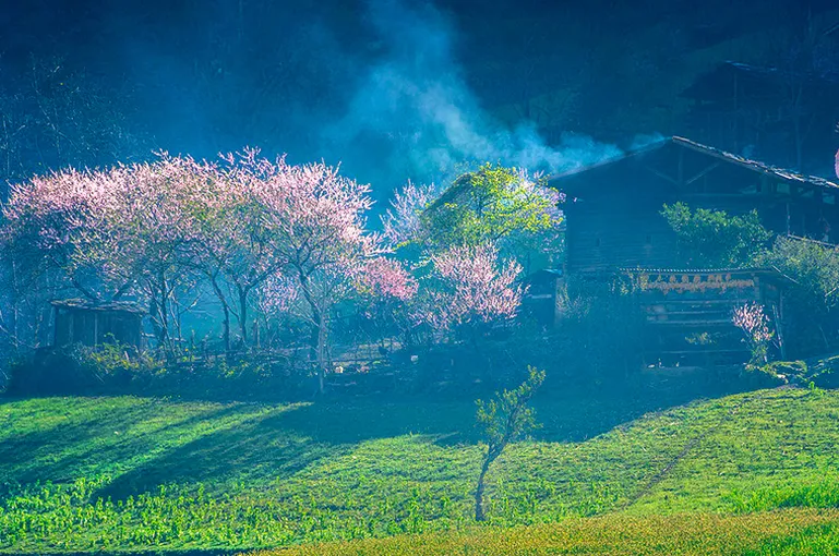 4d44ab17e77c640fcec43ea55e2cdf1d-sz_754188 4d44ab17e77c640fcec43ea55e2cdf1d-sz_754188