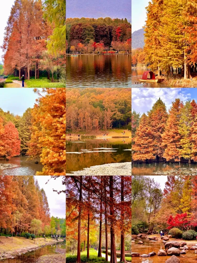 4d501289bd321cb4a9abd19d276f9fb1-sz_4248927 4d501289bd321cb4a9abd19d276f9fb1-sz_4248927