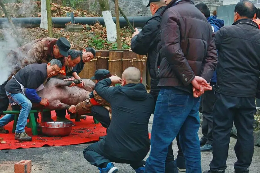 4d7eee58d92c8008d7bff5b5a1a332c7-sz_203952 4d7eee58d92c8008d7bff5b5a1a332c7-sz_203952