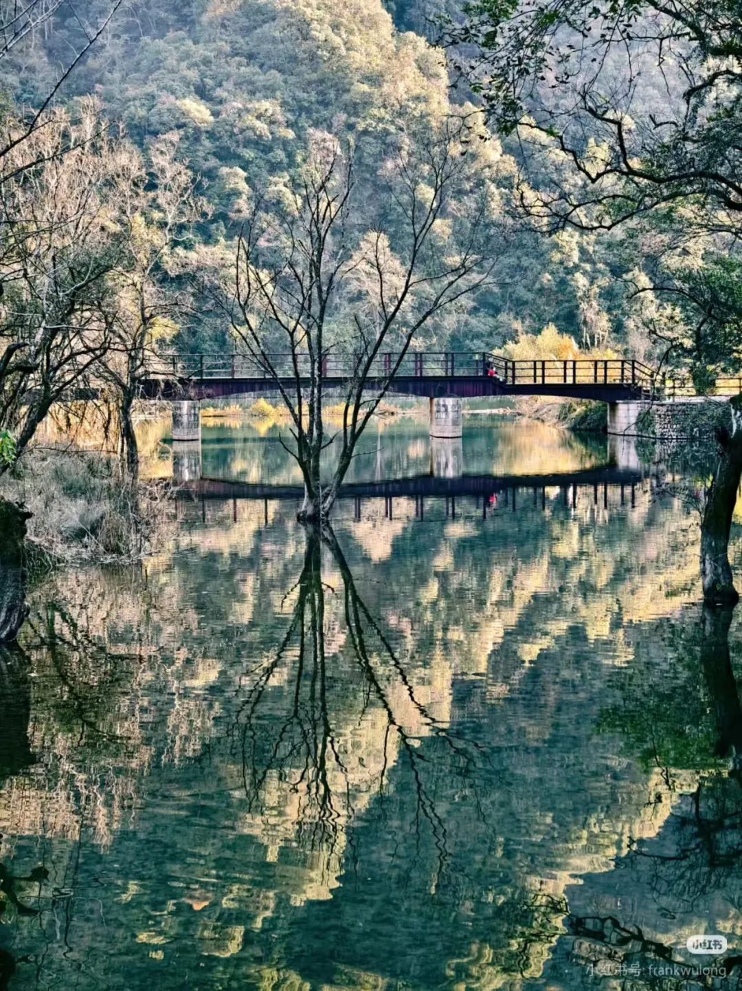 4e2523b9745932d72a821ea40e4162c9-sz_1894440