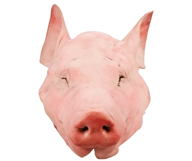 4e4310164b468f92e5406de06a37ed91-sz_313532 4e4310164b468f92e5406de06a37ed91-sz_313532