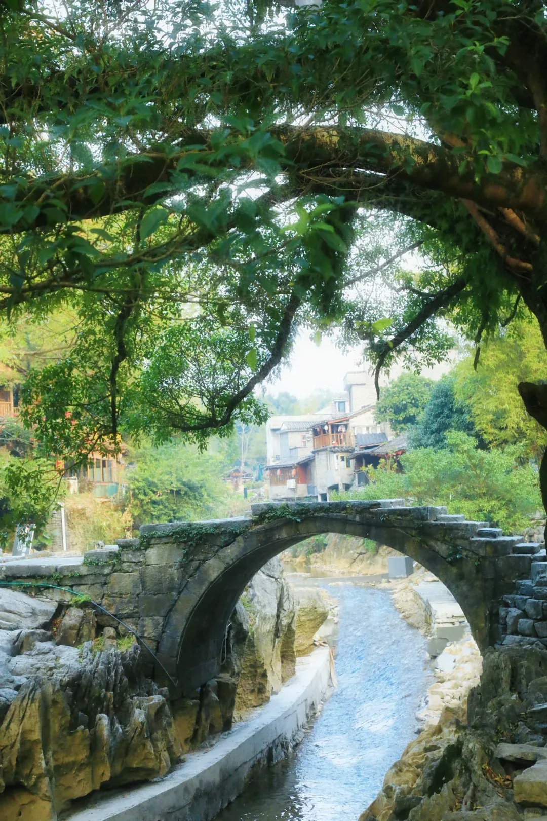 4e59645599d9a3495cd7891731fd8a67-sz_3399378