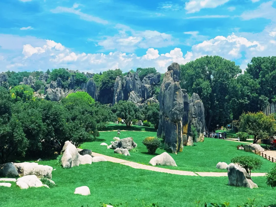 4ef19817e96a4c059e087188551f0b39-sz_3242245