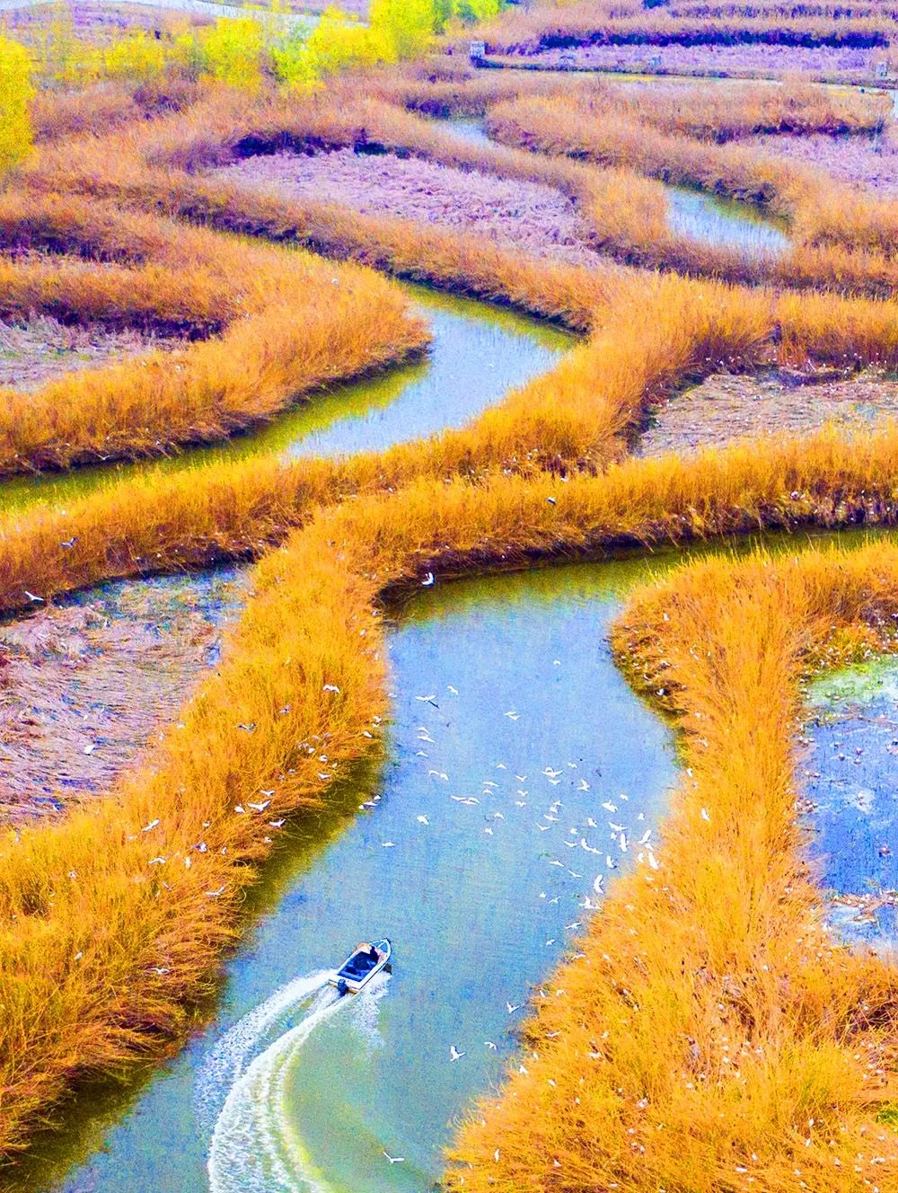 4ef7ce4ef769ee247048e71195134370-sz_1237007