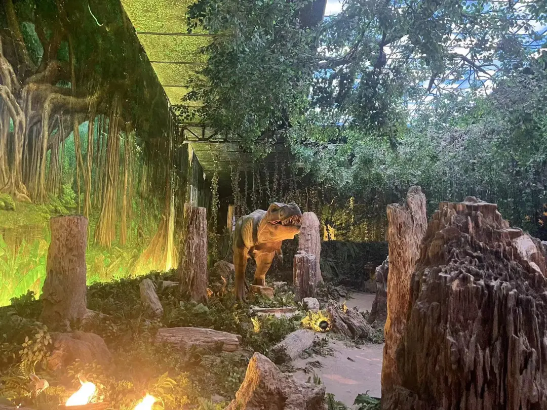 4f04c024f8d5bc9546c32e87f2317bfc-sz_542742 4f04c024f8d5bc9546c32e87f2317bfc-sz_542742