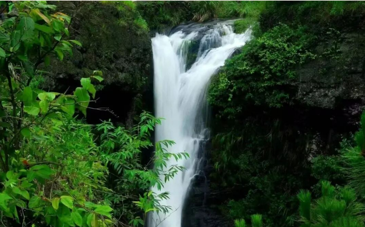 4f14773961fd61a230bba08234d4e827